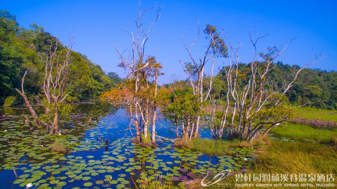 Country Garden Hot Spring Hotel Huizhou Хуижоу Екстериор снимка